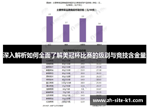 深入解析如何全面了解美冠杯比赛的级别与竞技含金量