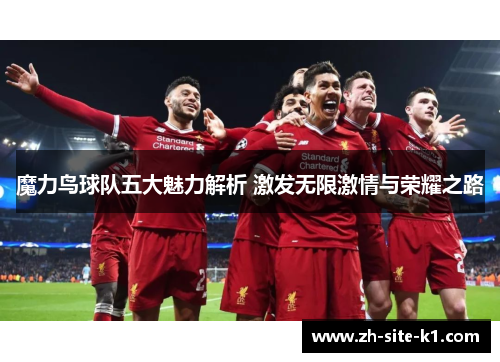 魔力鸟球队五大魅力解析 激发无限激情与荣耀之路